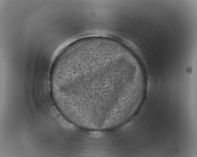 X0000111811172200908131452