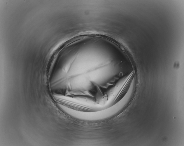 X0000111811173200908131452