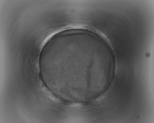 X0000111811174200908131452