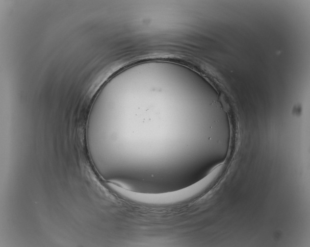 X0000111811177200908131452