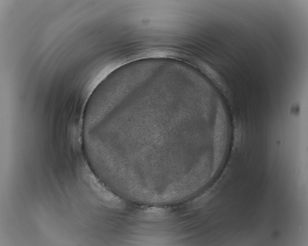 X0000111811178200908131452