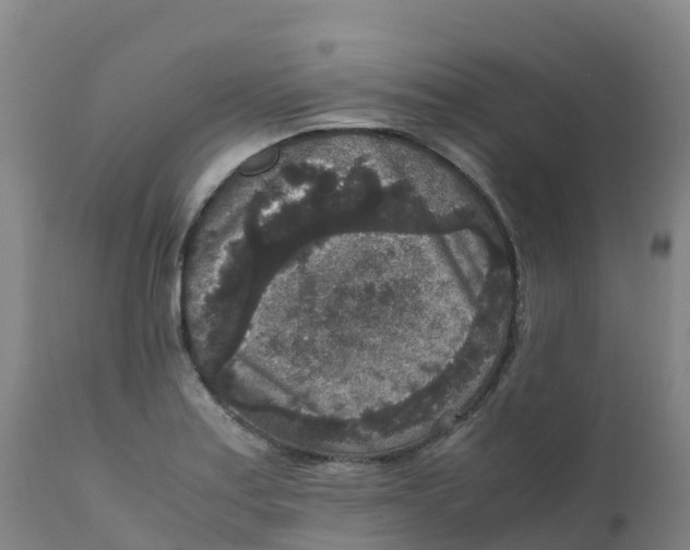 X0000111811179200908131452