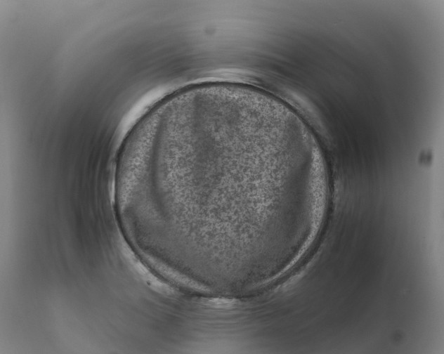X0000111811180200908131452