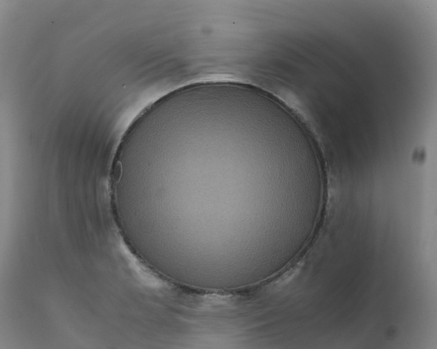 X0000111811181200908131452