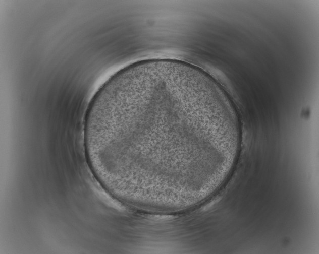 X0000111811184200908131452