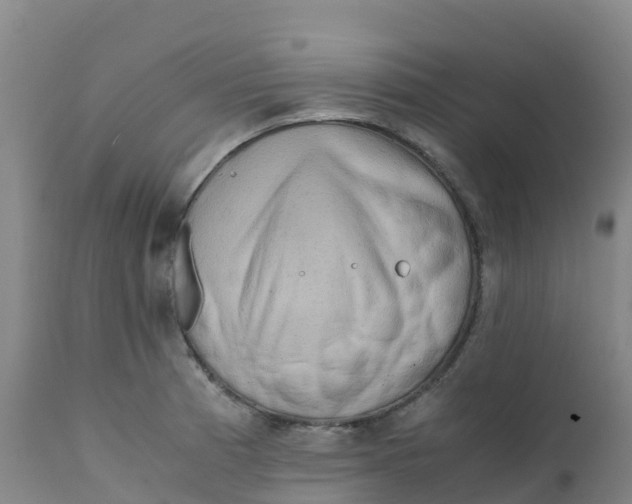 X0000111811185200908131452