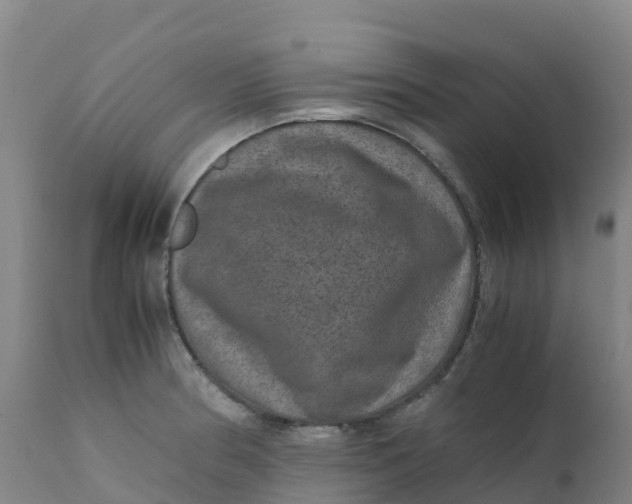 X0000111811186200908131452