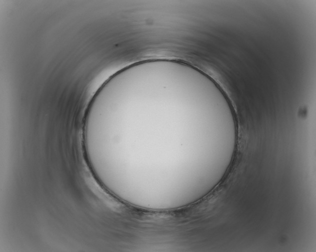 X0000111811187200908131452