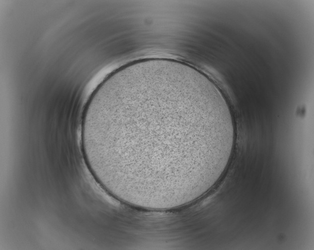 X0000111811188200908131452