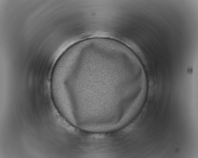 X0000111811190200908131452