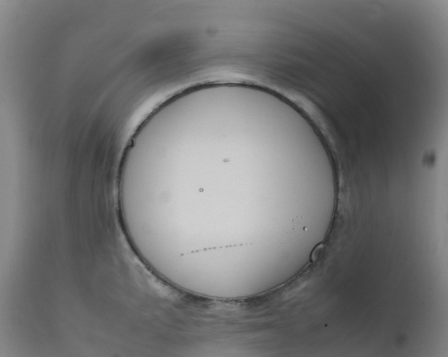 X0000111811191200908131452
