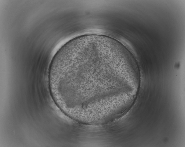 X0000111811192200908131452