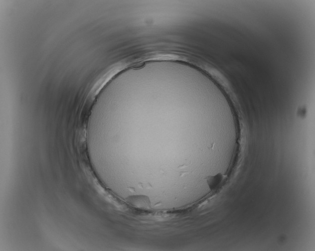 X0000111811193200908131452