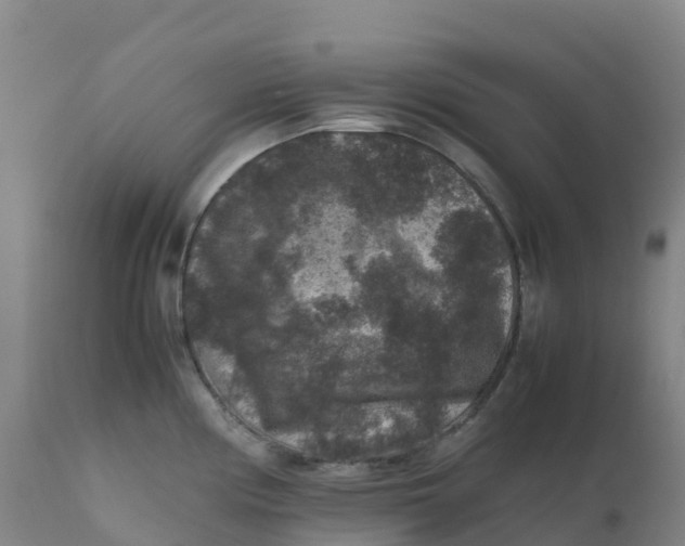 X0000111811194200908131452