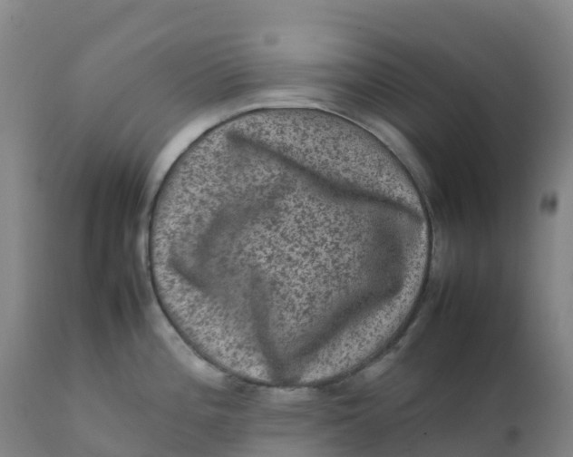 X0000111811196200908131452