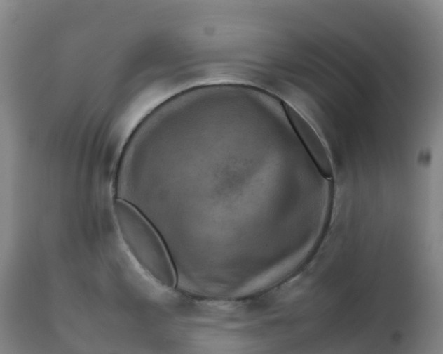 X0000111811197200908131452