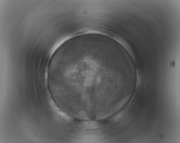 X0000111811198200908131452