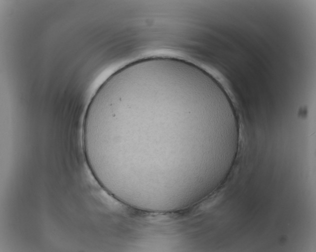 X0000111811199200908131452