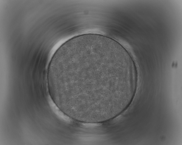 X0000111811200200908131452