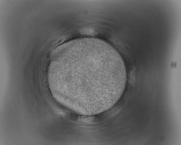 X0000111811201200908131451