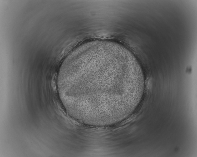 X0000111811202200908131451