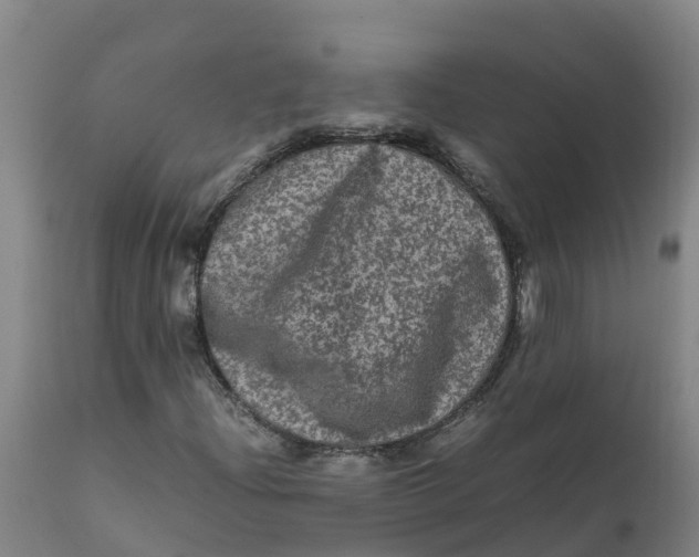 X0000111811204200908131451