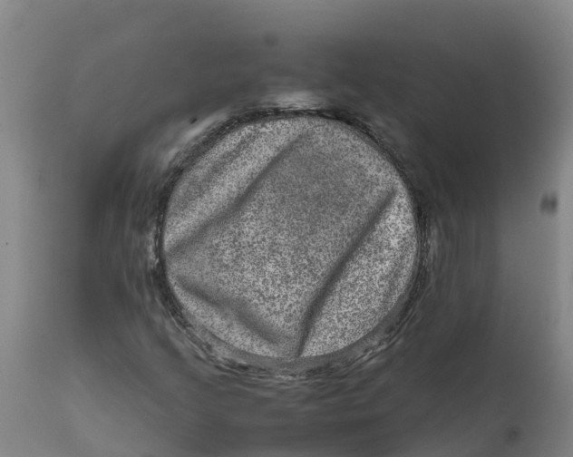 X0000111811205200908131451