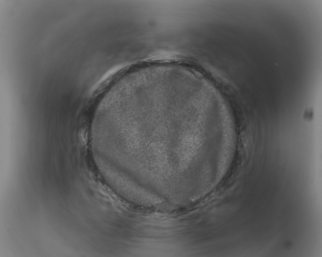 X0000111811206200908131451