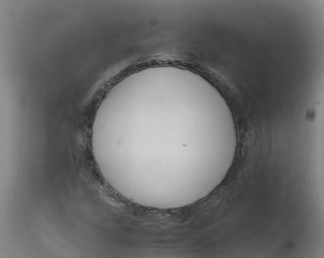 X0000111811207200908131451