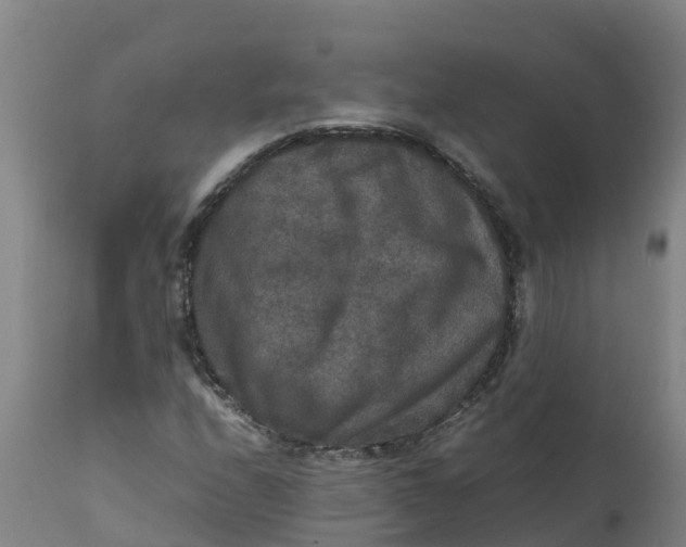 X0000111811208200908131451