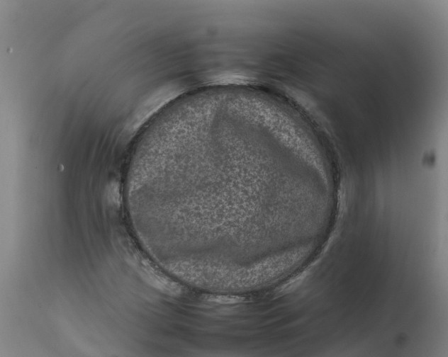 X0000111811209200908131451