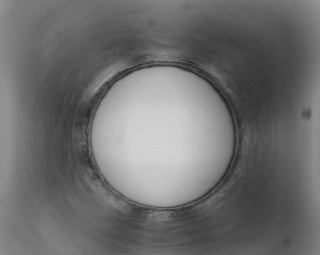 X0000111811211200908131451
