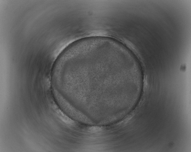 X0000111811212200908131452