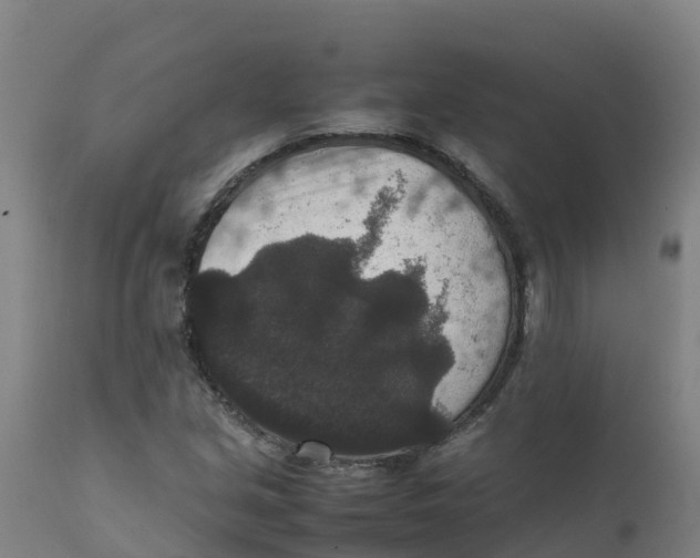 X0000111811213200908131452