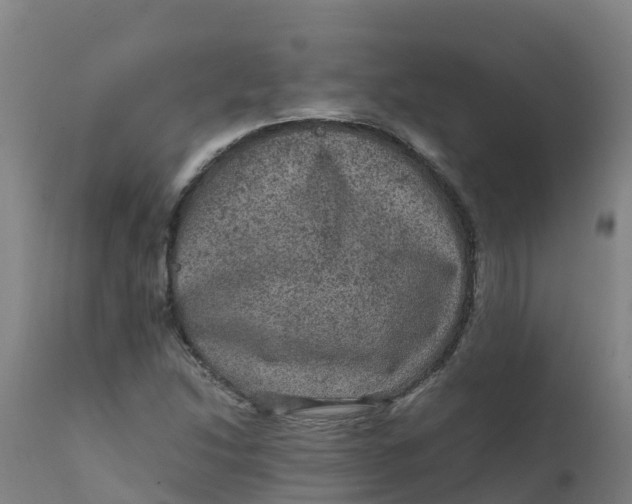 X0000111811214200908131452