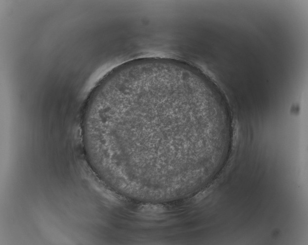 X0000111811215200908131452