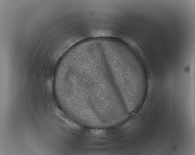 X0000111811217200908131452