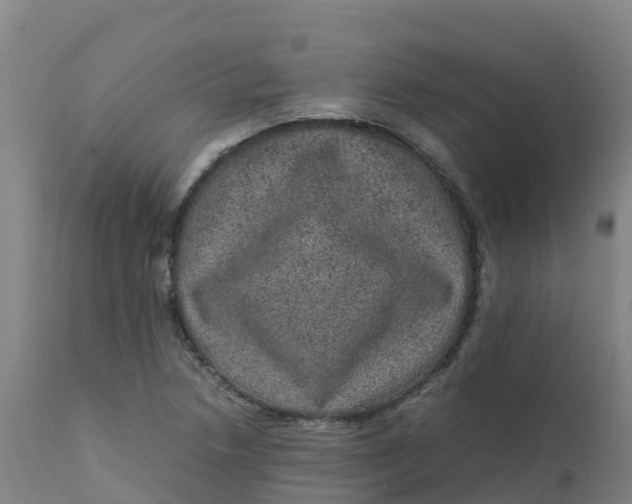 X0000111811218200908131452