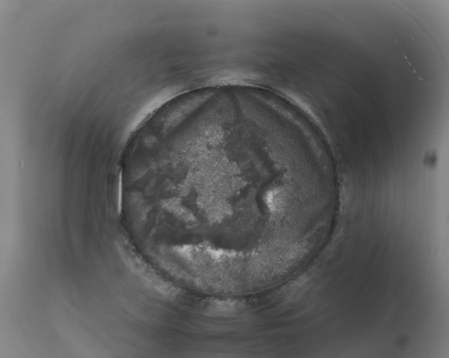 X0000111811219200908131452