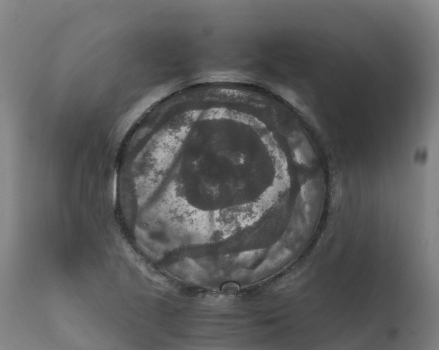 X0000111811221200908131452