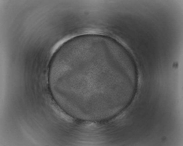 X0000111811222200908131452