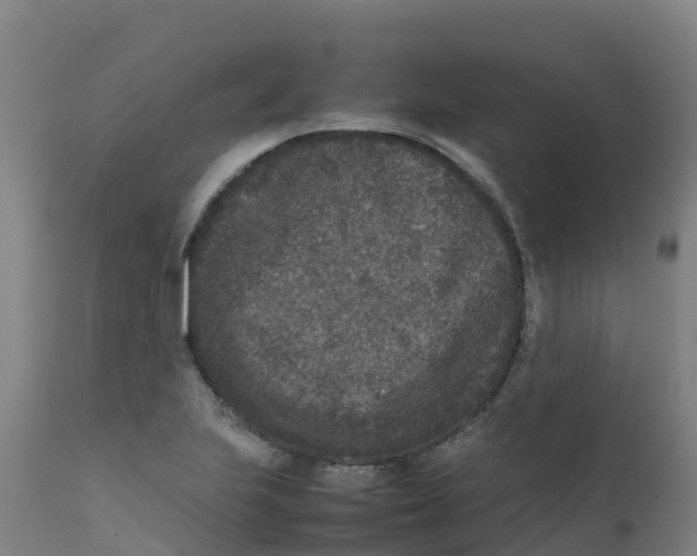 X0000111811223200908131452