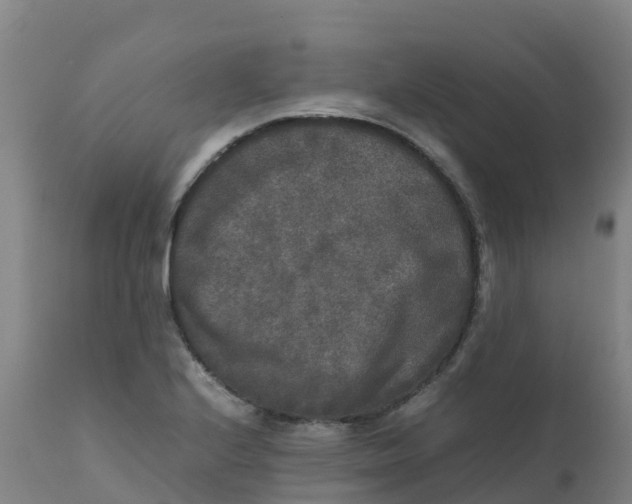 X0000111811224200908131452