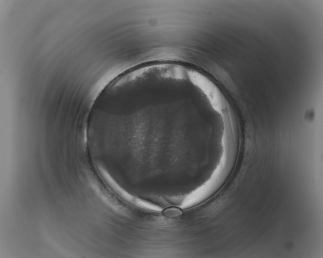 X0000111811226200908131452