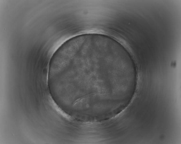 X0000111811228200908131452