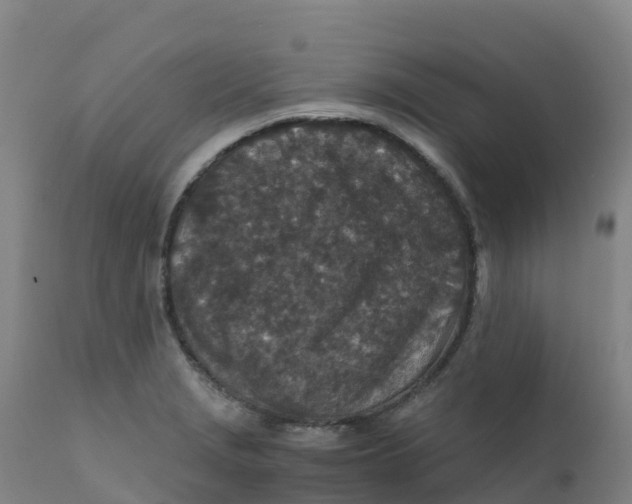 X0000111811229200908131452