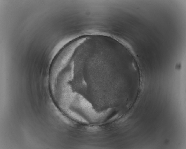 X0000111811231200908131452