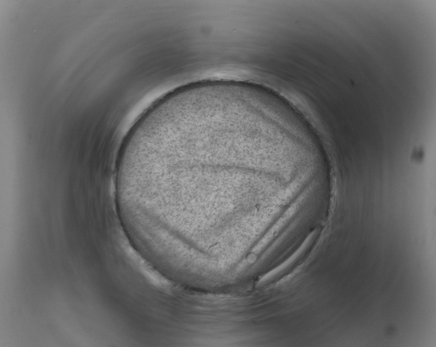 X0000111811232200908131452