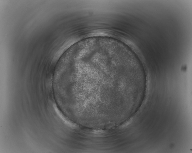 X0000111811233200908131452