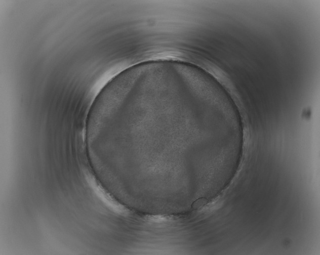 X0000111811234200908131452